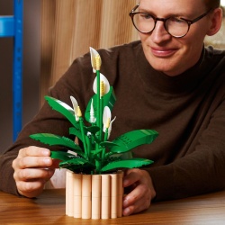 LEGO BOTANICALS CRINUL PACII 11504 - Img 3