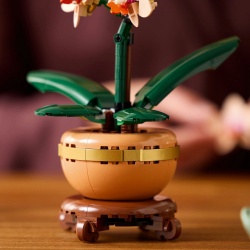 LEGO BOTANICALS MINI ORHIDEE 10343 - Img 9