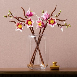 LEGO BOTANICALS RAMURI DE MAGNOLIE 11510 - Img 9