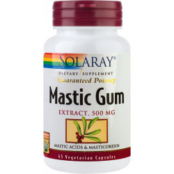 MASTIC GUM 500MG 45CPS VEGETALE