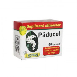 PADUCEL 40cps HOFIGAL