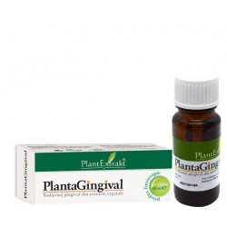 PLANTAGINGIVAL 10ML