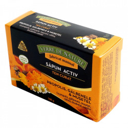SAPUN ACTIV TEN CURAT 100GR