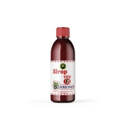 SIROP FIER&COACAZE NEGRE 500ML