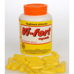 VI FORT 60CPS