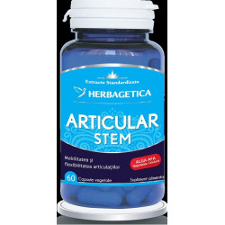 Articular stem 60cps vegetale