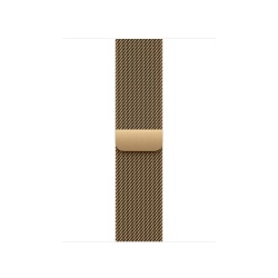 AW BAND 40MM MILANESE RADIANT GOLD