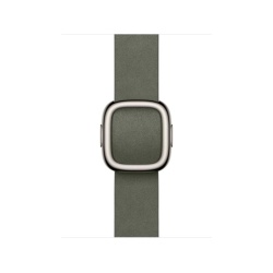 AW BAND 42MM MODERN BUCKLE SAGE GRAY M