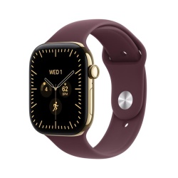 AW S12 46 Cel RGold Titan Burg Band M/L