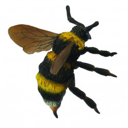 Bondar - Collecta - Img 2