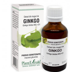 EXTRACT DIN MUGURI DE GINKGO BILOBA 50ML