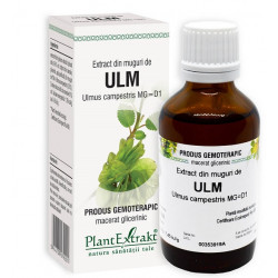 EXTRACT DIN MUGURI DE ULM 50ML
