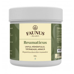 GEL REUMATICUS 250ML (UNT.PAM.TAT.&ARNICA)