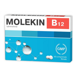MOLEKIN B12 60CPR