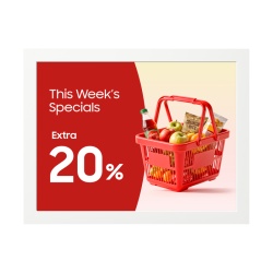 Monitor Signage SG 13" E-paper