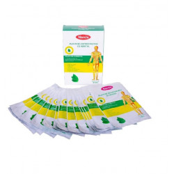 PLASTURI ANTIREUMATICI CU MENTOL 12*18CM