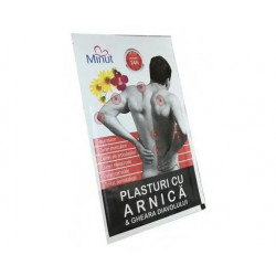 PLASTURI ARNICA&GHEARA DIAVOLULUI 9*14CM
