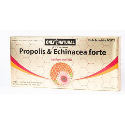 PROPOLIS&ECHI.FORTE 1000MG 10FIOLEX10ML