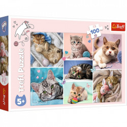 Puzzle trefl 100 in lumea pisicilor - Img 1