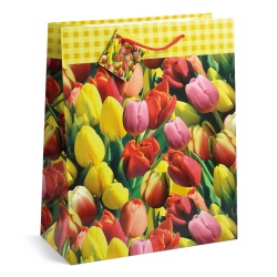 Sacosa Primavara, din hartie cu maner din snur, 26 x 32.5 x 12.7 cm (20 buc/display) - Img 3