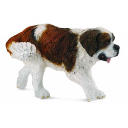 Saint bernard - Collecta