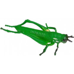 Set de 12 figurine Insecte Miniland - Img 12
