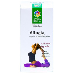 SILUETA 500mg 60cps SANTO RAPHAEL