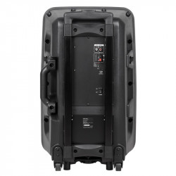 SISTEM PORTABIL SD BLUETOOTH USB 12 INCH 20W - Img 2
