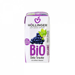 SUC DE STRUGURI ECO 200ml HOLLINGER BIOSENS