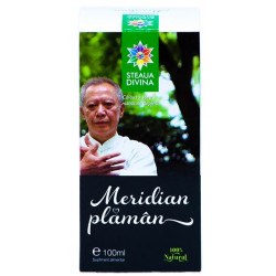 Tinctura meridian plaman 100ml santo raphael