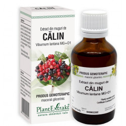 Viburnum lantana (calin) 50ml plantmed