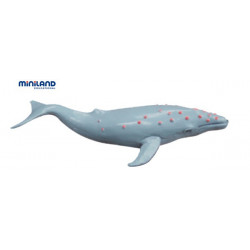 Animale marine set de 8 figurine - Miniland - Img 4