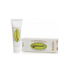 APIDERMALIV- BALSAM BUZE(laptisor matca, miere, ulei masline) COMPLEX APICOL
