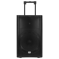 BOXA PORTABILA 15''/38CM 300W RMS TWS CU BT/USB + 2 MIC WIRELESS - Img 5
