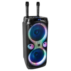 BOXA PORTABILA 2X10'/25CM 250W RMS CU USB/AUX - Img 2