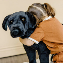 Catel Labrador Negru gigant din plus - Img 4