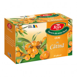 CATINA 20DZ