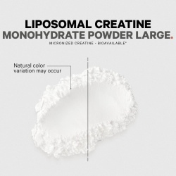 Codeage Liposomal Creatine Monohydrate, Creatina Monohidrata Lipozomala, 455 G - Img 10