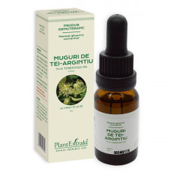 CONCENTRAT MUGURI TEI ARGINTIU 15ML