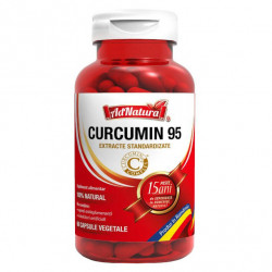 CURCUMIN 95 60CPS