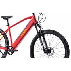 Drumet dinamic m 29'' rosu galben - Img 13