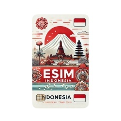 eSIM Indonesia 100GB 30Days Standard