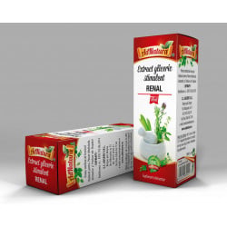 Extract gliceric stimulent renal 50ml
