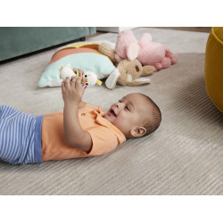 FISHER PRICE JUCARIE ZORNAITOARE GASCA - Img 3