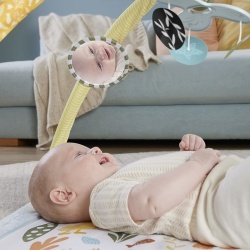 FISHER PRICE SALTELUTA DE GIMNASTICA PENTRU NOU NASCUTI - Img 7