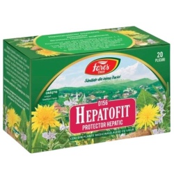 HEPATOFIT D156 1,5GR*20DZ