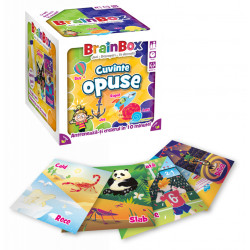 Joc educativ BrainBox Cuvinte opuse