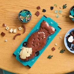 LEGO IDEAS VIDRE PLUTIND PE APA 21366 - Img 9