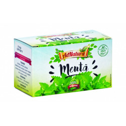 MENTA FRUNZE 20DZ