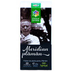 Meridian plaman 60cps santo raphael